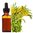 Boneset Extract