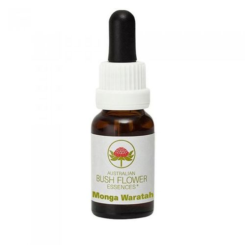 ABFE Monga Waratah Stock 15ml