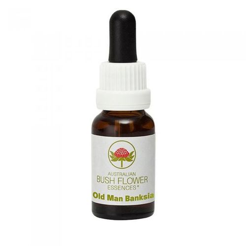 ABFE Old Man Banksia Stock 15ml