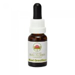 ABFE Red Grevillea Stock 15ml