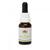 ABFE Red Helmet Orchid stock 15ml