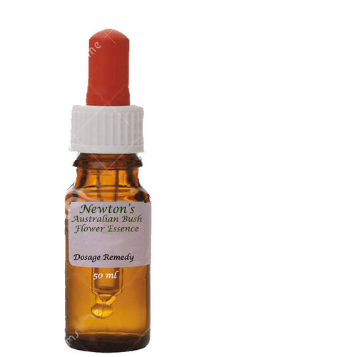 Wisteria 50ml