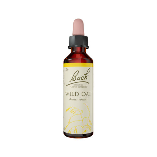 Wild Oat Stock Bottle 20ml