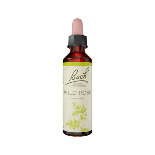 Wild Rose Stock Bottle 20ml