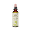 Wild Rose Stock Bottle 20ml