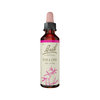 Go to product Willow Stock Bottle 20ml