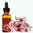Echinacea Angustifolia Extract