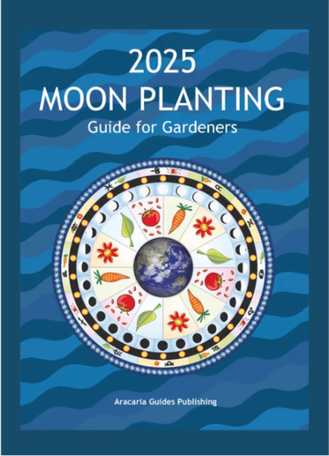 Moon Planting Guide for Gardeners
