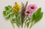 Urinary Tract Infections
