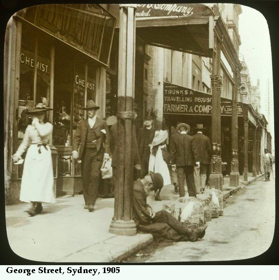 GeorgeStChemist1905