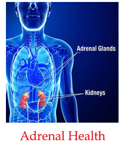 Adrenal_Health