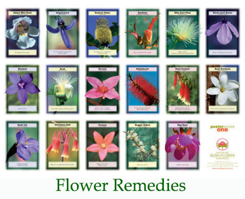 Flower_Remedies-