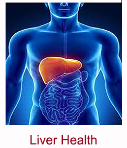 Liver_Health