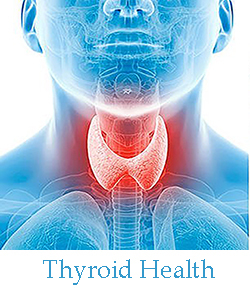 Thyroid-Health_2